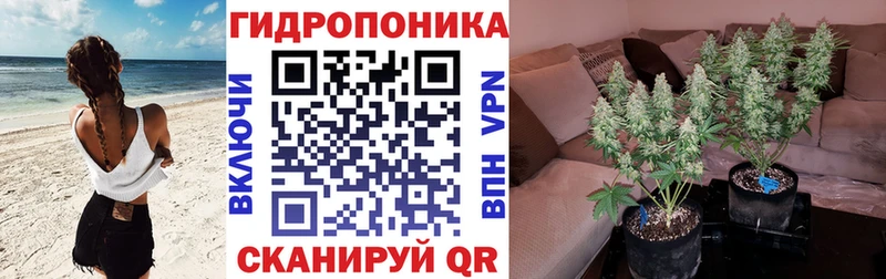 Наркотические вещества Ивангород СК КОКАИН ГАШИШ Канабис