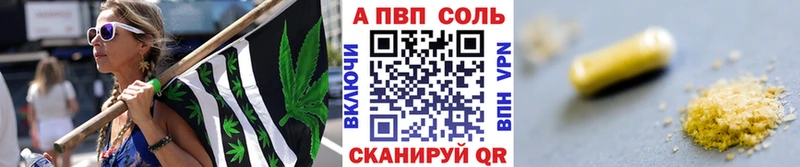 APVP СК OMG tor Ивангород