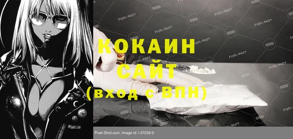 эйфоретик Баксан