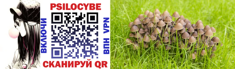 магазин    Ивангород  Галлюциногенные грибы MAGIC MUSHROOMS 